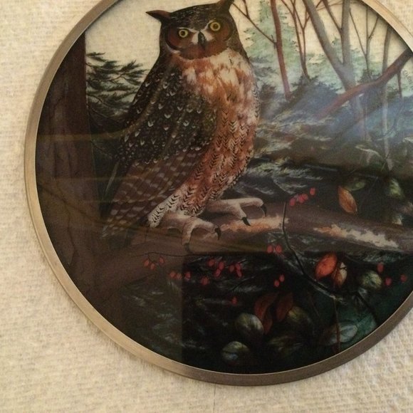 glass Owl hanging suncatcher round 16cm diameter - Picture 7 of 8